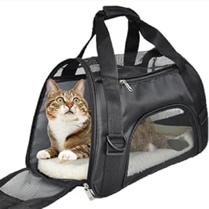 Cuby pet carrier