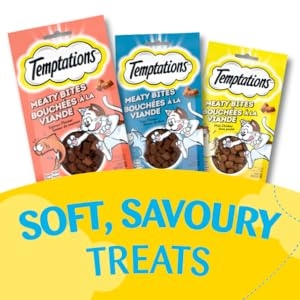 Soft Savoury Treats