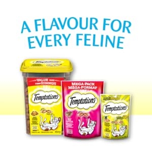 A Flavour For Every Feline