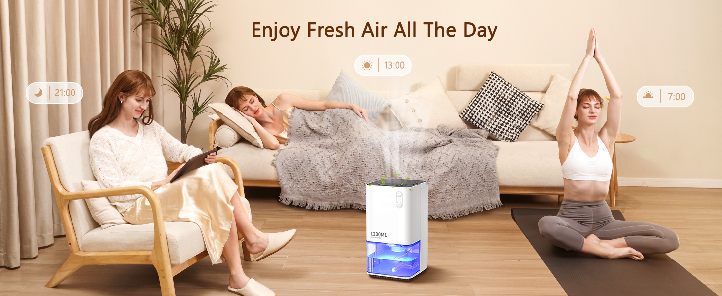 Dehumidifiers 